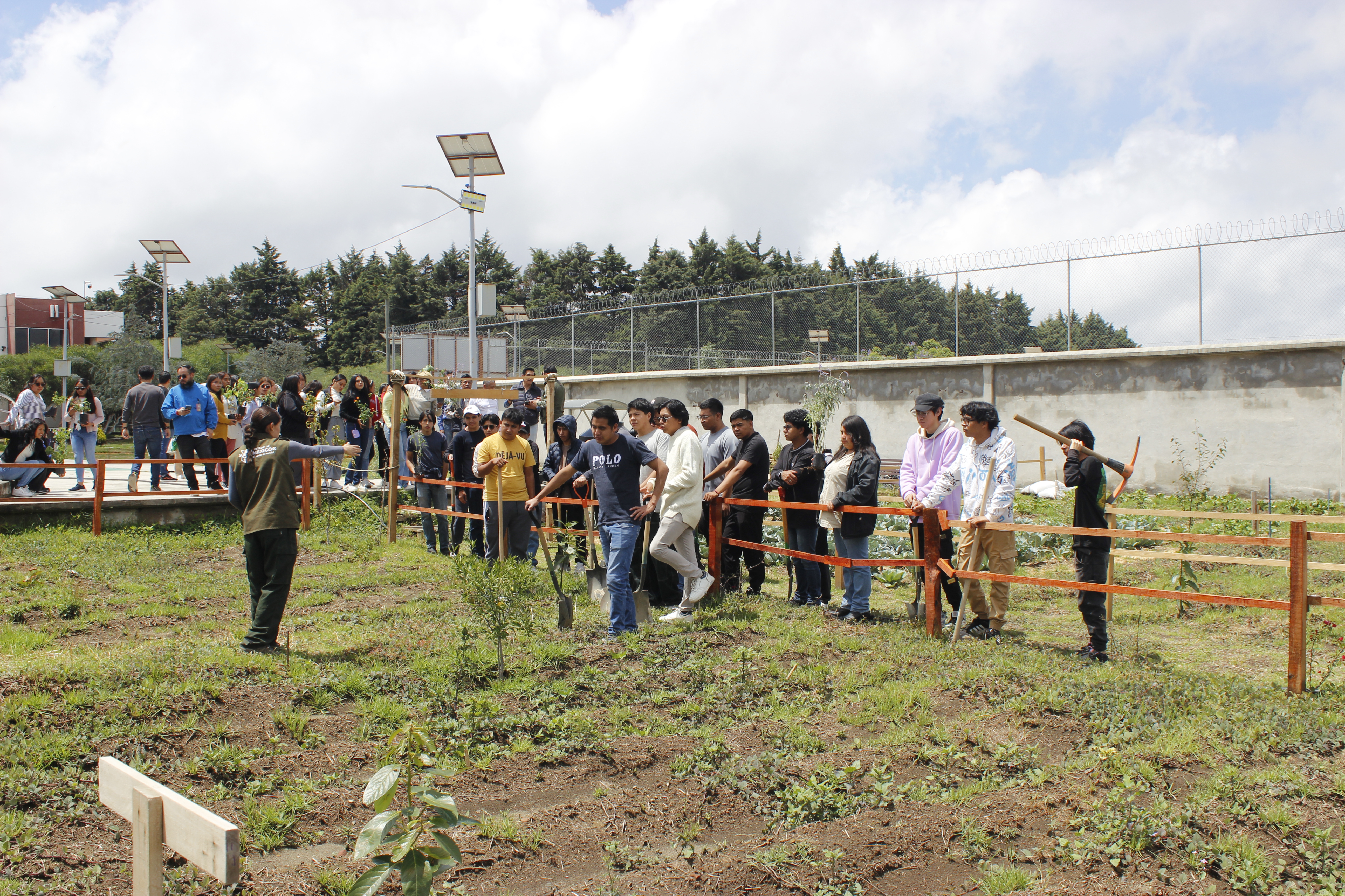 Curso de huertos urbanos