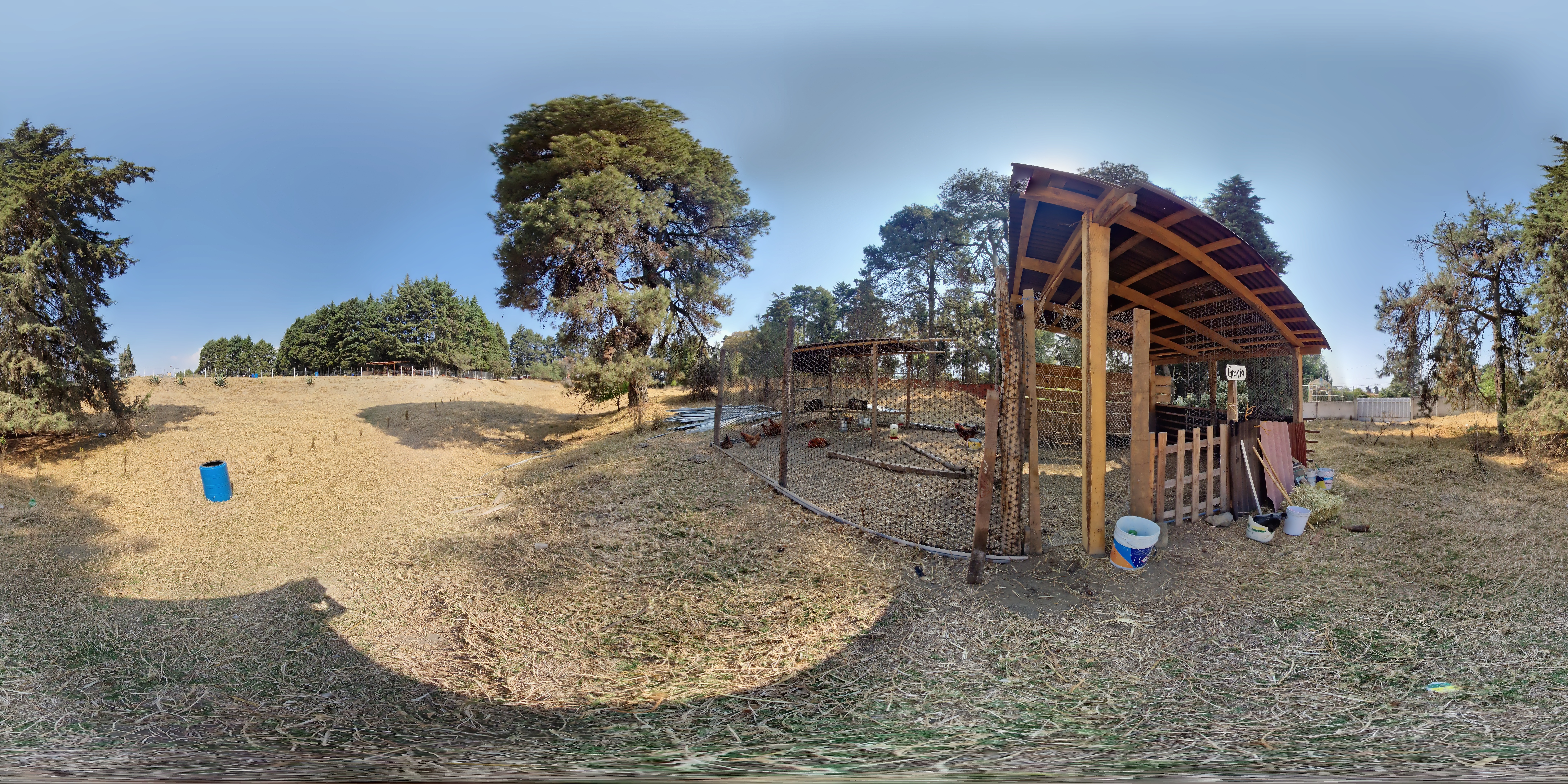 Vista previa Gorrion0